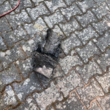 2020_Rohrschaden_04